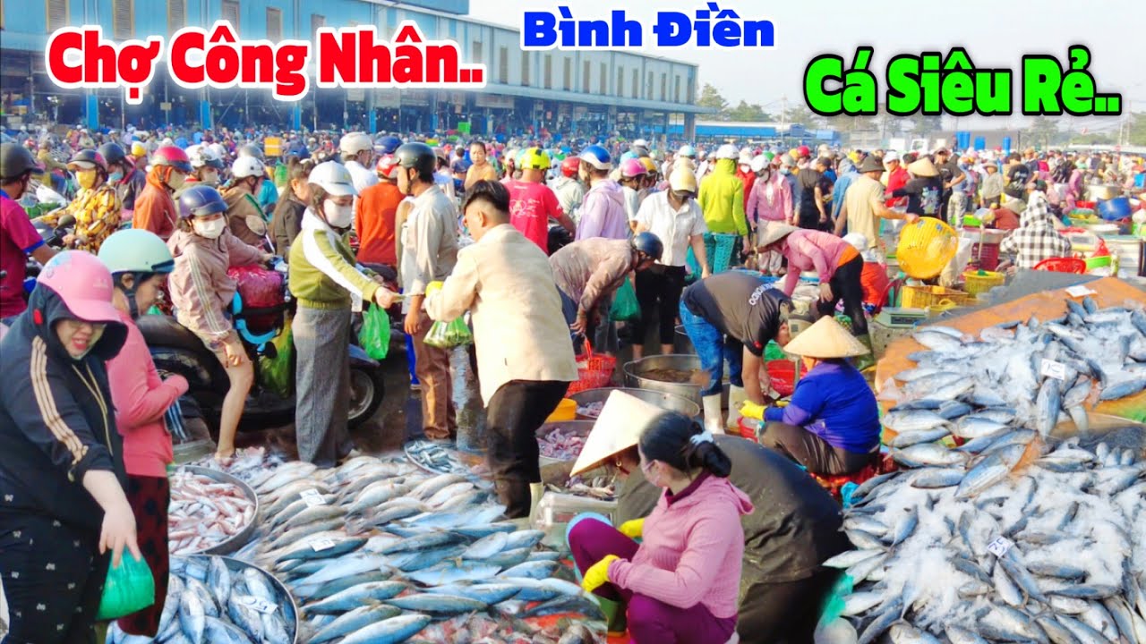 Công Nhân đổ XÔ đi