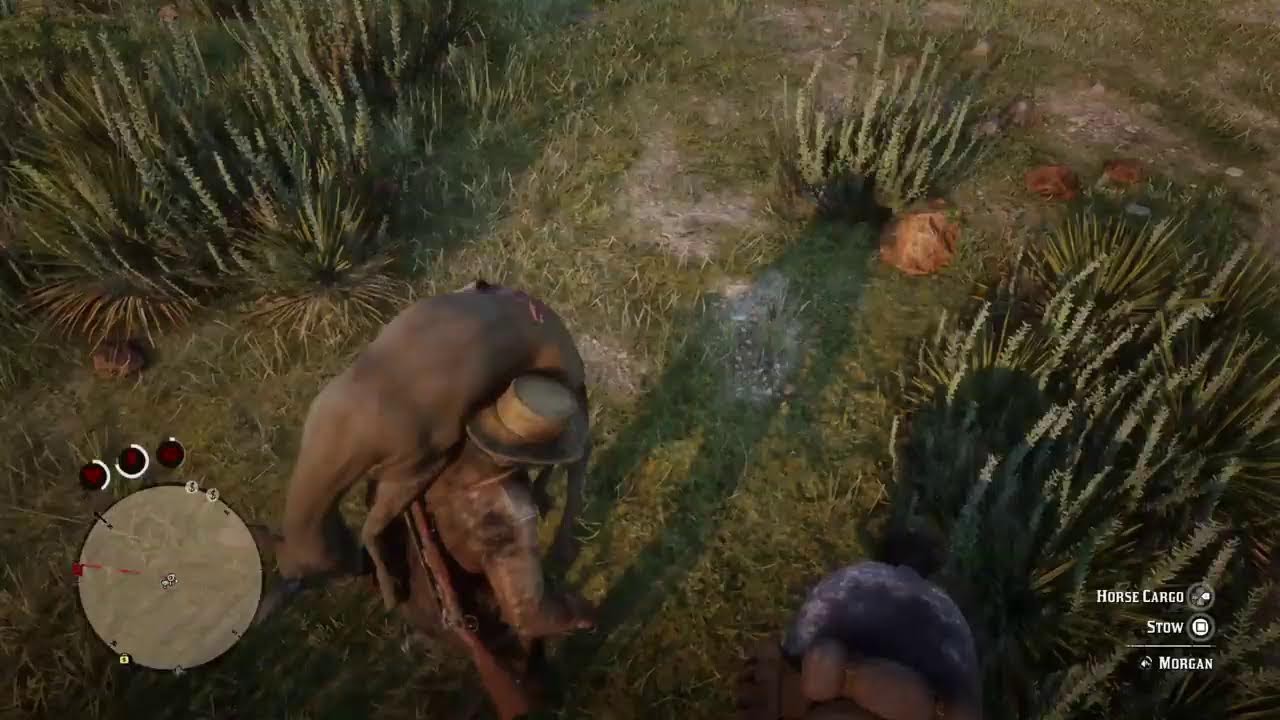 Playing rdr 2