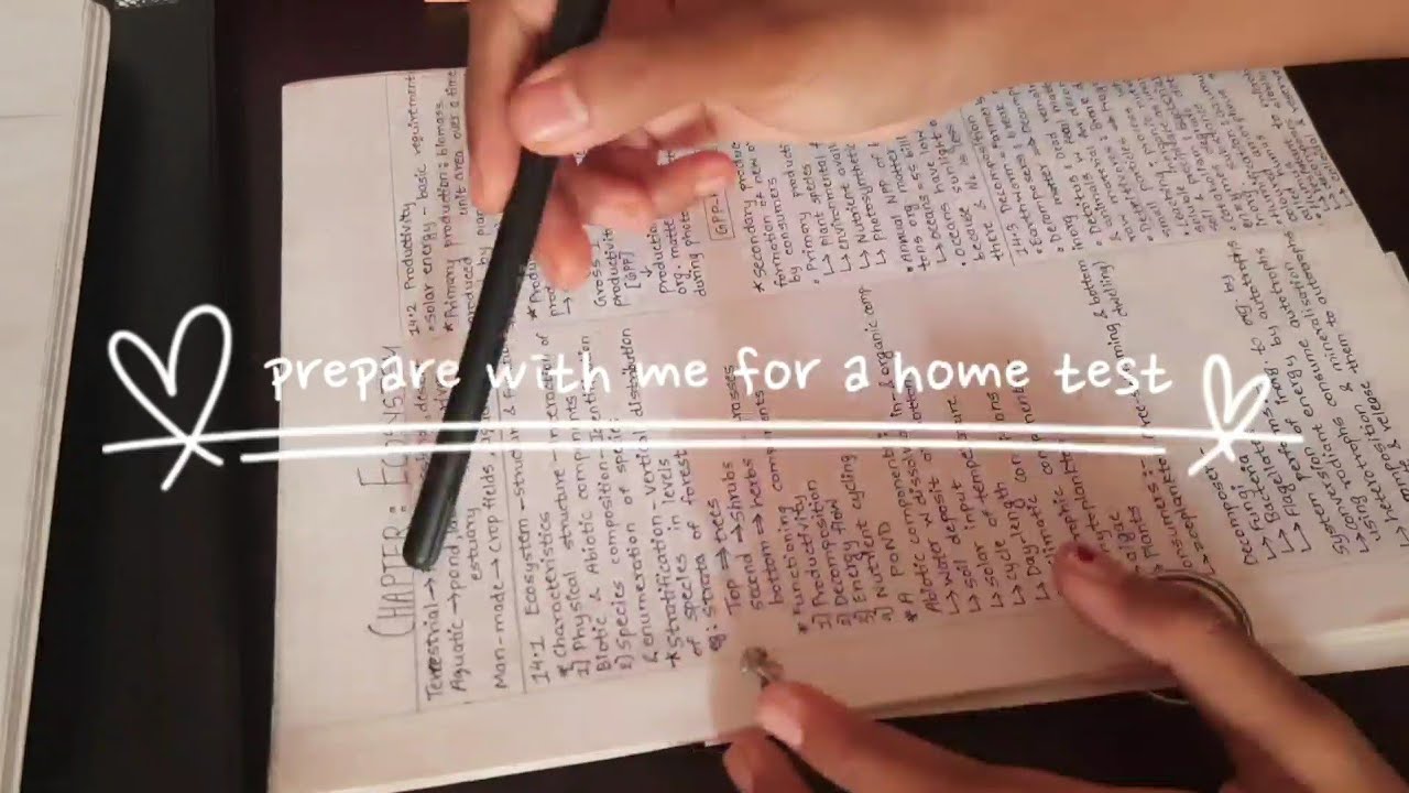 Prepping for an exam | Study vlog | 