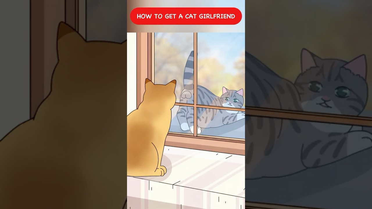 How to Get a Cat Girlfriend #shorts