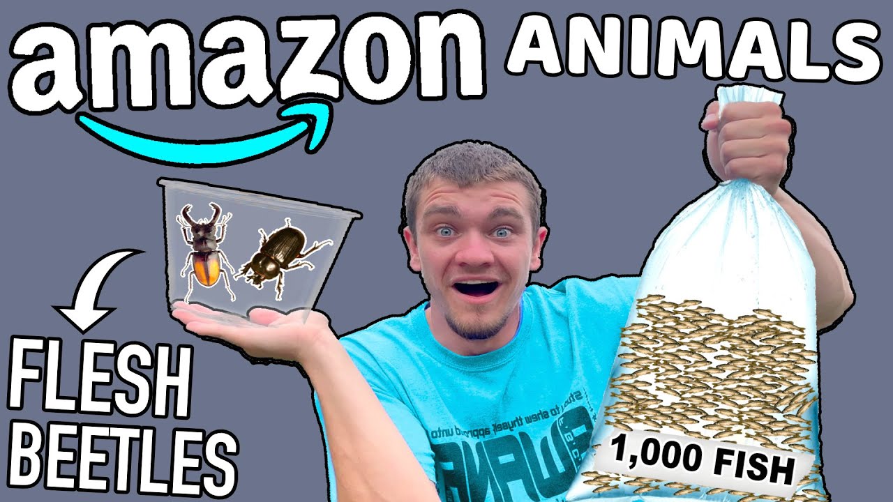 I Bought Crazy Animals You Didn't Know were Sold on Amazon!