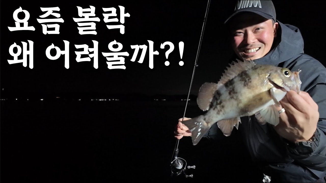 1월의 볼락 루어! 꼭 아셨으면 하는 꿀팁 몇가지 풀어봅니다!!!