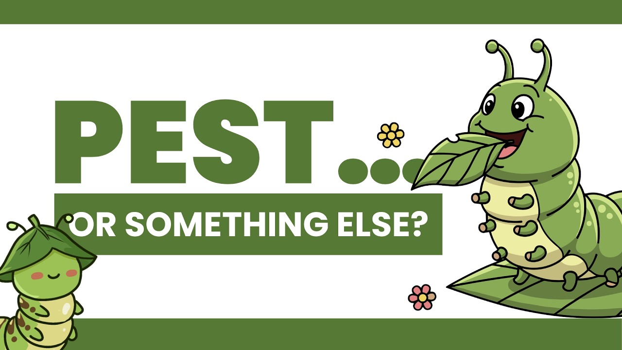 Garden Pests? How to Tell What’s Really Harming Your Plants