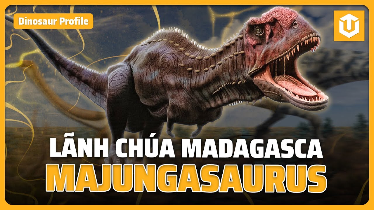 MAJUNGASAURUS – “LÃNH CHÚA TÀN B.Ạ.O” của đảo MADAGASCAR | HỒ SƠ KHỦNG LONG S18 | ULTREXSHARE