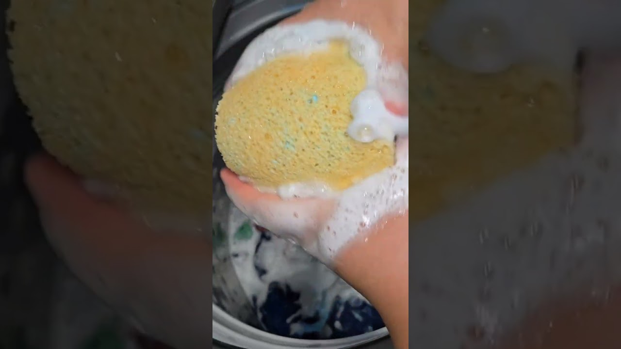 Foca Friday yall! #fyp #asmr #laundry #spongesqueezing 