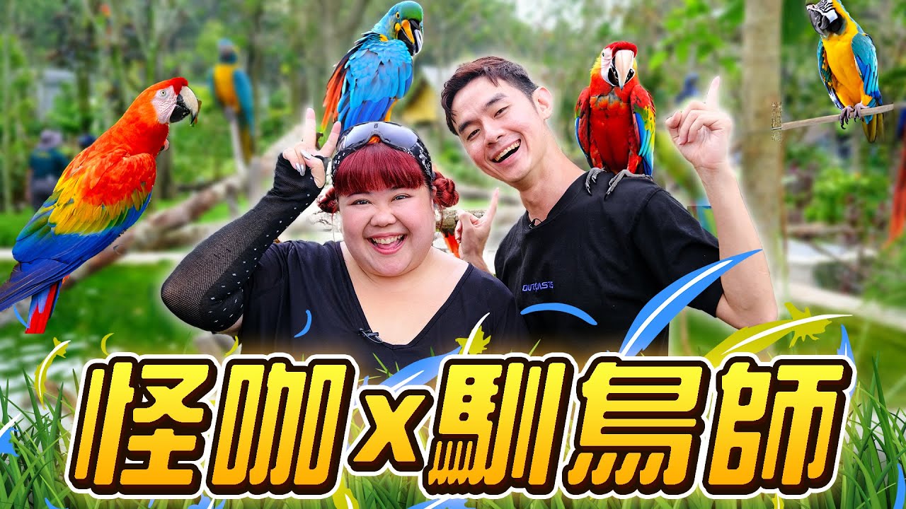 【怪咖 x 馴鳥師】挑戰一次過照顧3500隻鳥! 這集除了尖叫還是尖叫！😱 【ENG SUBS】