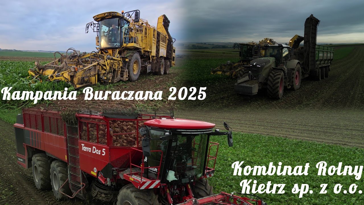 Kampania Buraczana 2025 Czas Start| Testy Holmer Terra Dos 5🇵🇱Kombinat Rolny Kietrz sp. z o.o.🇵🇱
