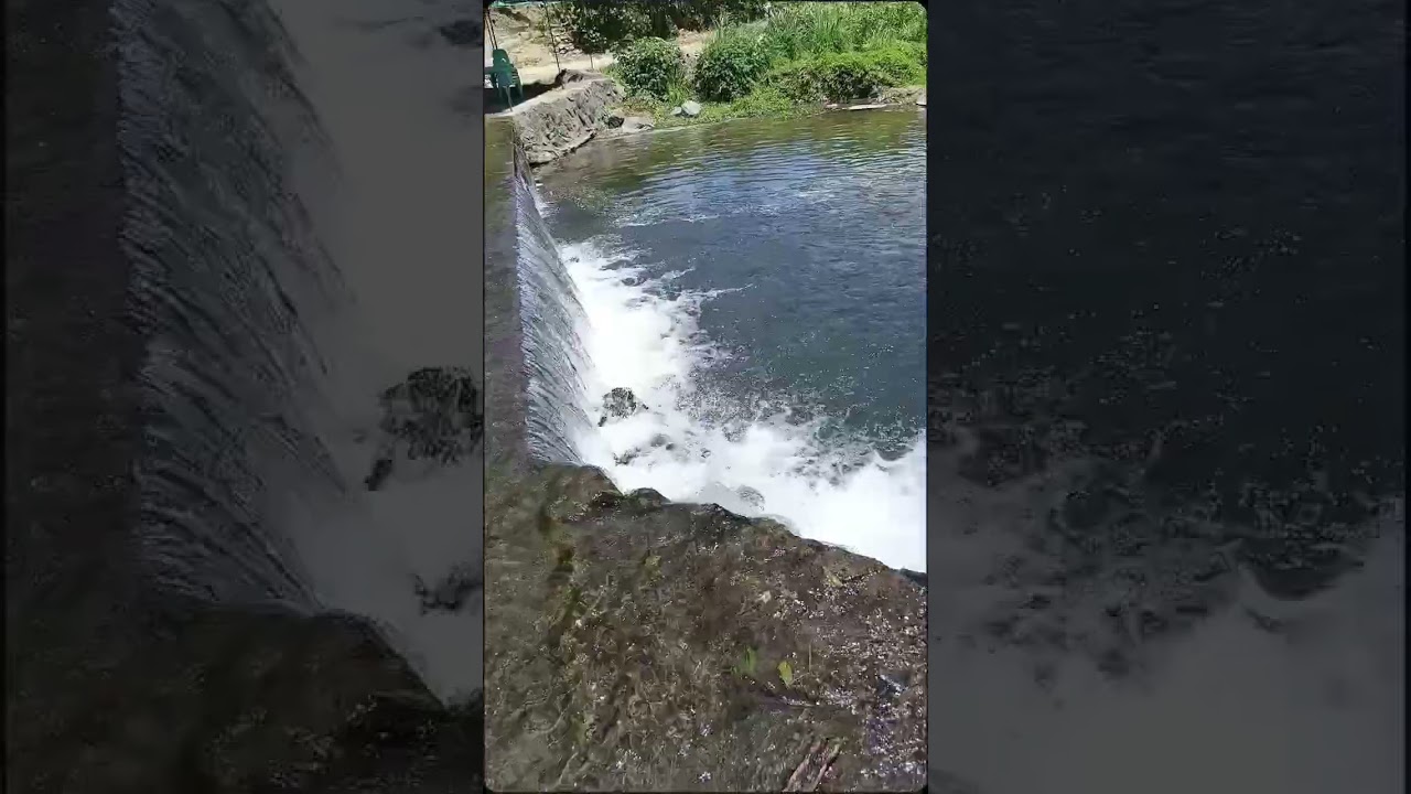 #naturefootage