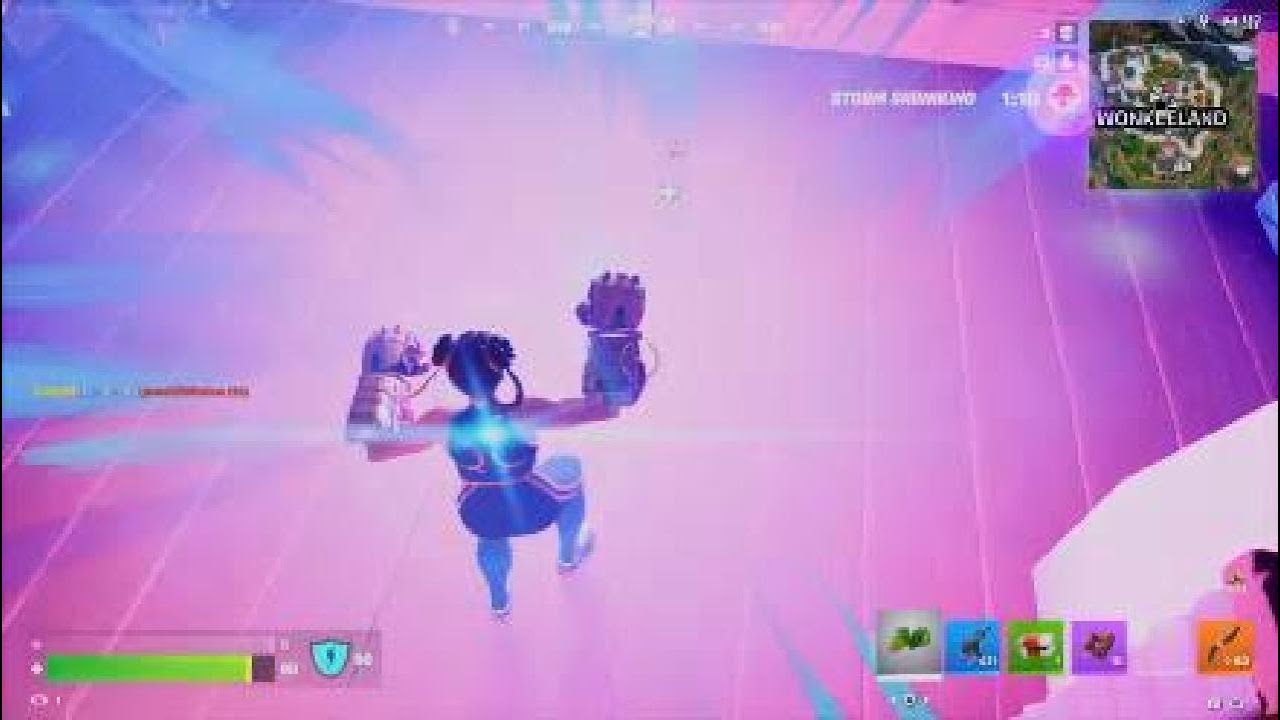 Fortnite Cat  Strat
