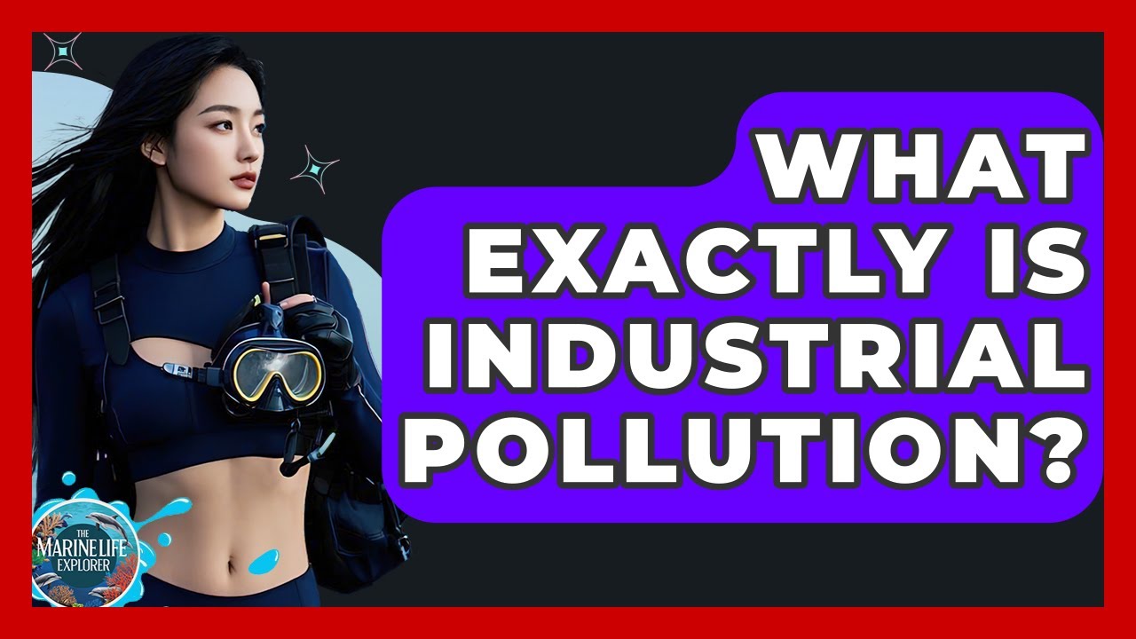 What Exactly Is Industrial Pollution? - The Marine Life Explorer