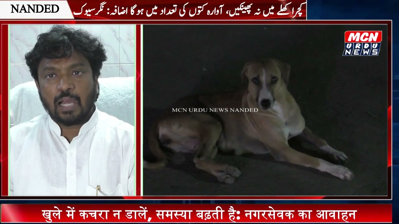 प्रभाग क्रमांक 7 जयभीम नगर और मखदूम नगर में  में आवारा कुत्तों को पकड़ने की विशेष मोहीम शुरू