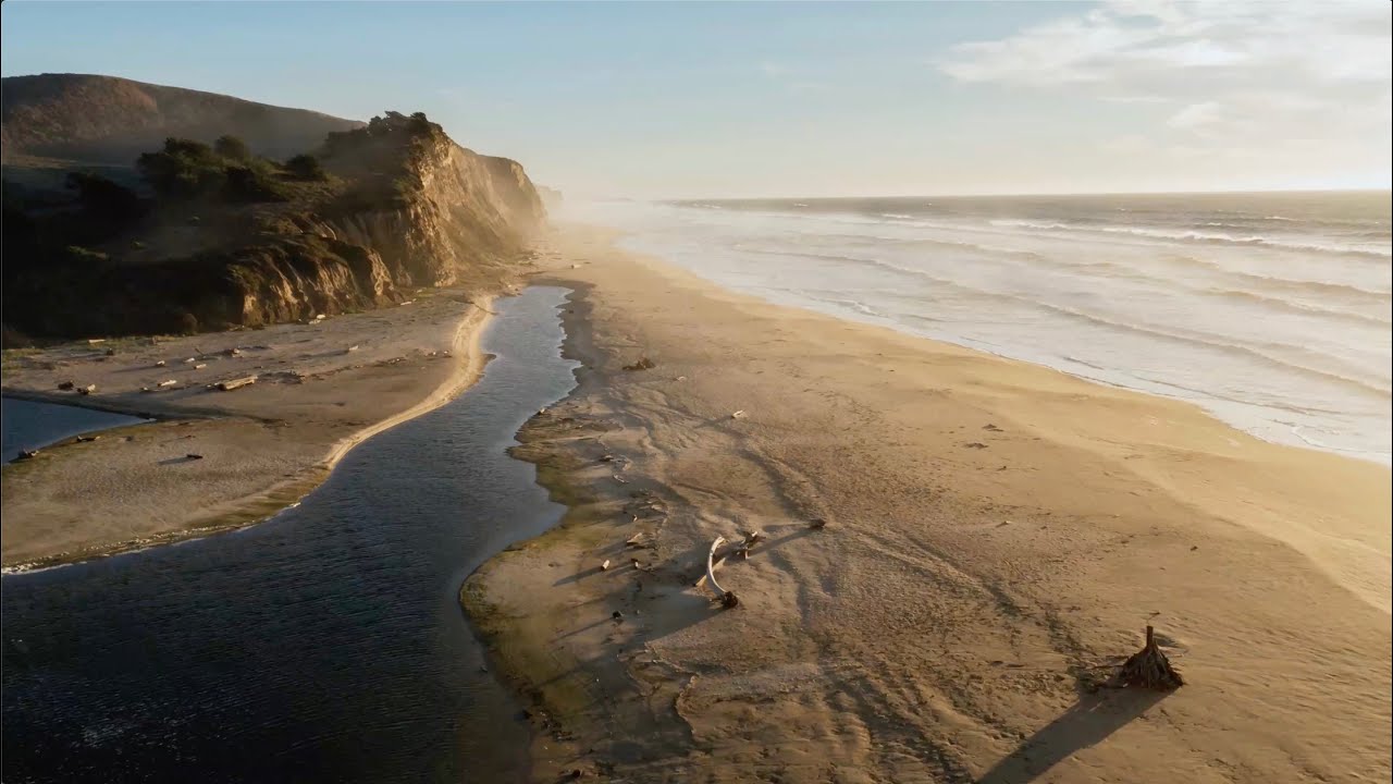 Help The People, Save The Sea