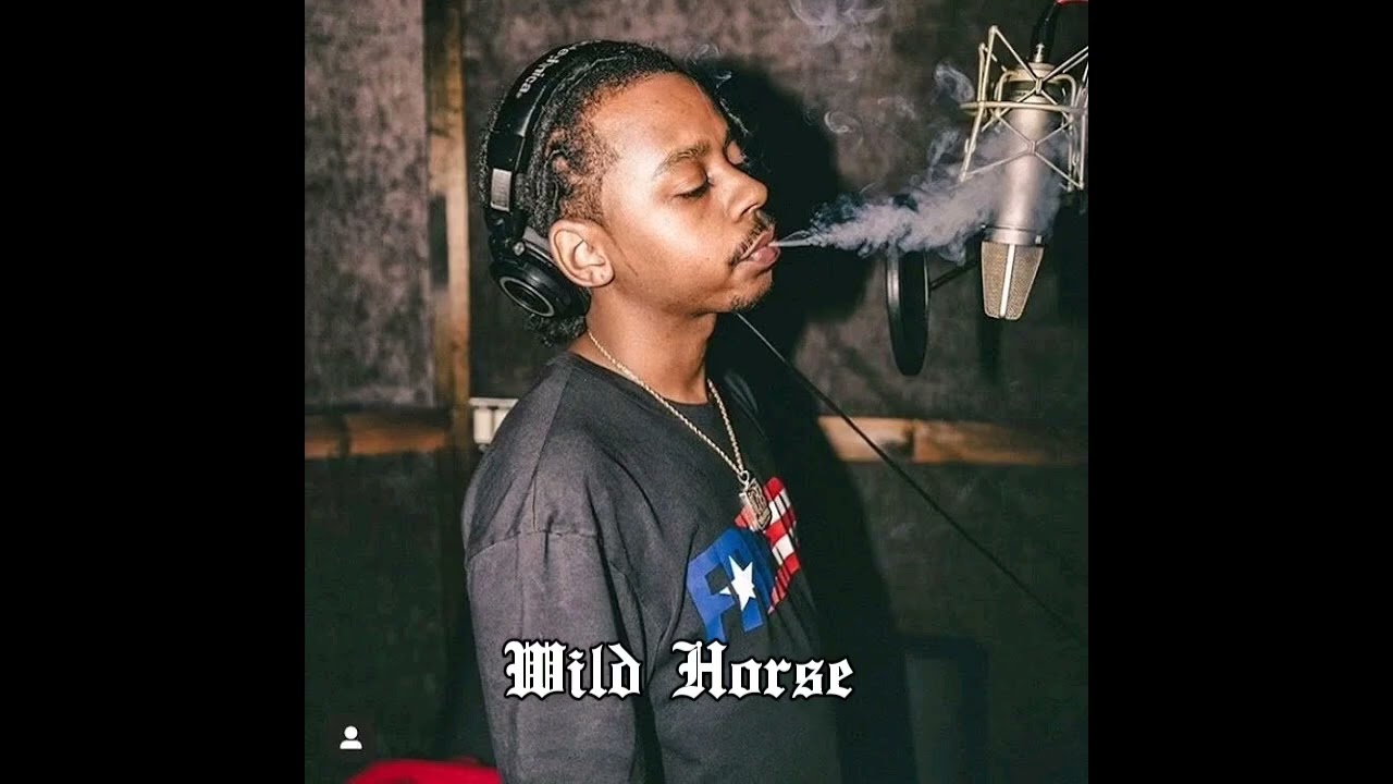 (Free) *Wild Horse* Baby Smoove x Baby Face Ray x Michigan Meech / Detroit & Flint Type Beat 2026