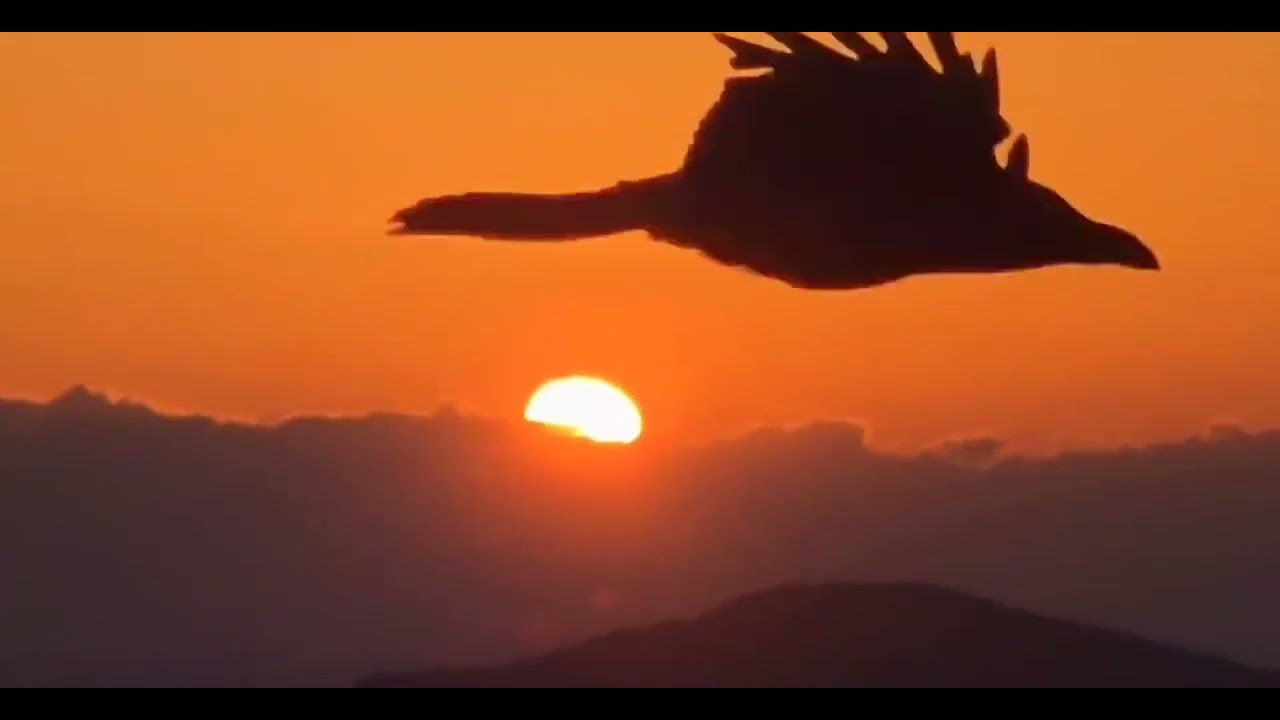 #너에게난 #나에게넌~수업중떼창🎵🎀💕🎶