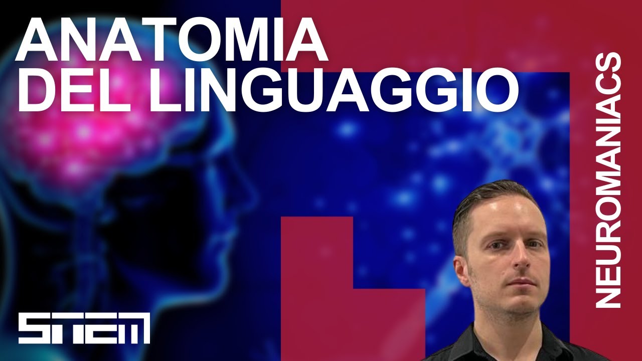 Anatomia del linguaggio
