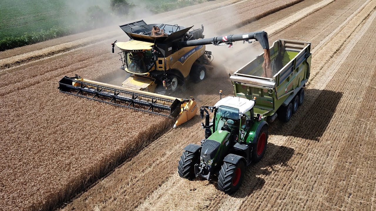 Trebbiatura grano 2021 | New Holland CR 10.90