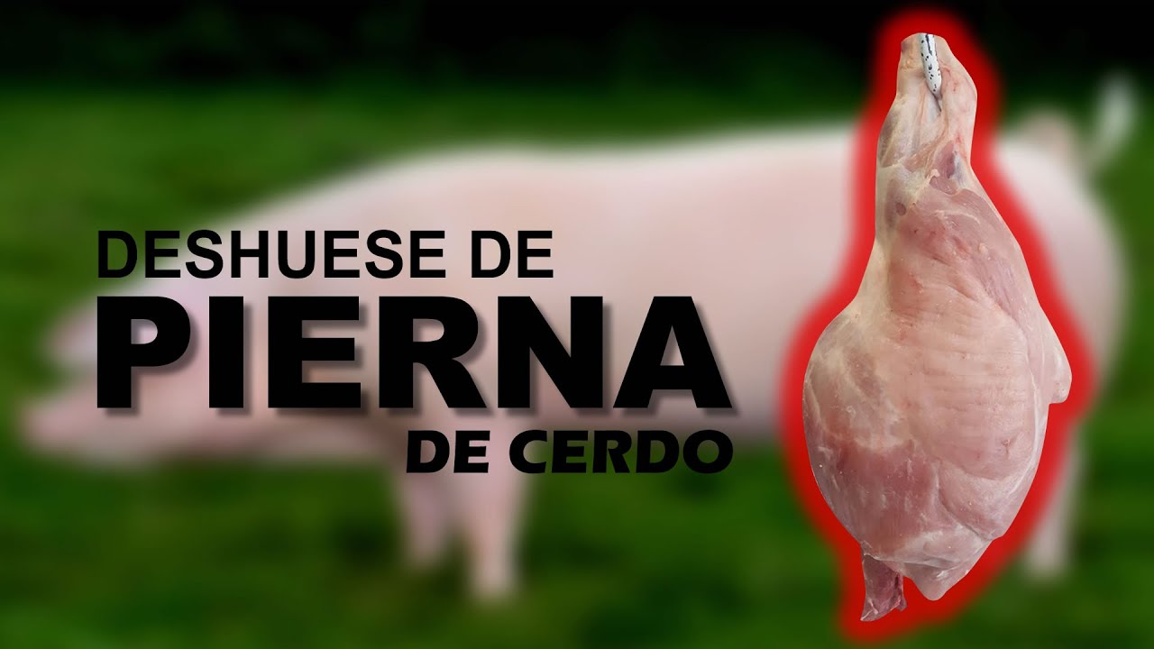 Como Deshuesar Una Pierna De Cerdo (Danny Tablajero)