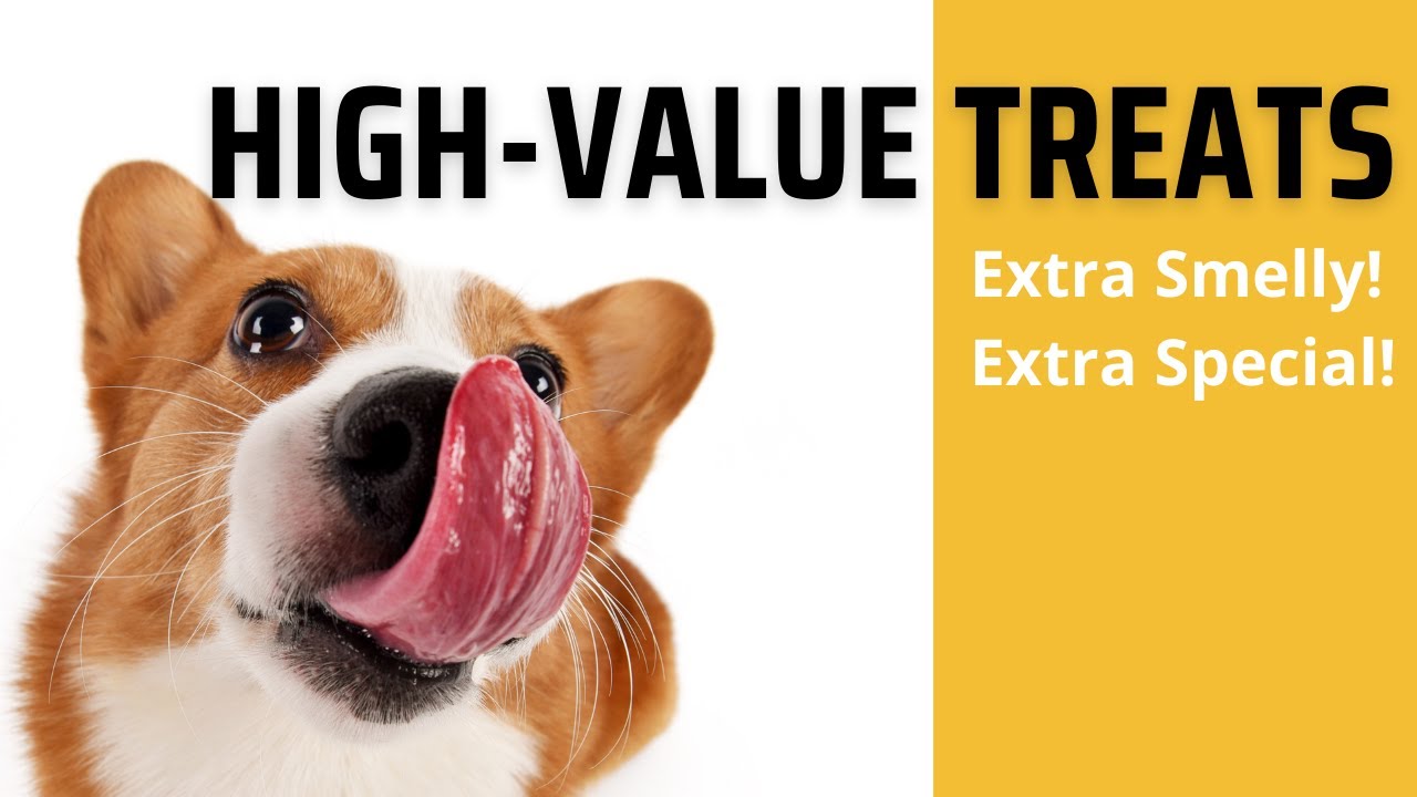 DIY Tuna Training Treats - High-Value Treats
