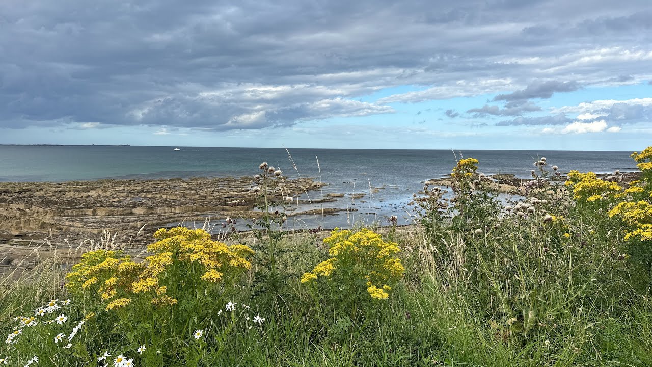 My Five Favourite Coastal Walks in the UK | 4K Walking Tour
