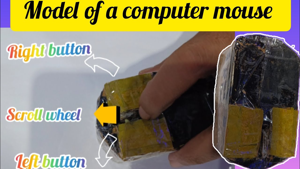 How to make a model of a computer mouse/model of a computer mouse/project on computer mouse