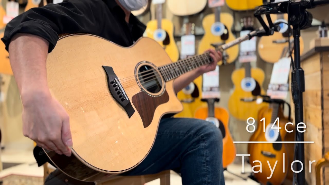Taylor 814ce S/N:1208073031 【アーティストラウンジ選定品!】