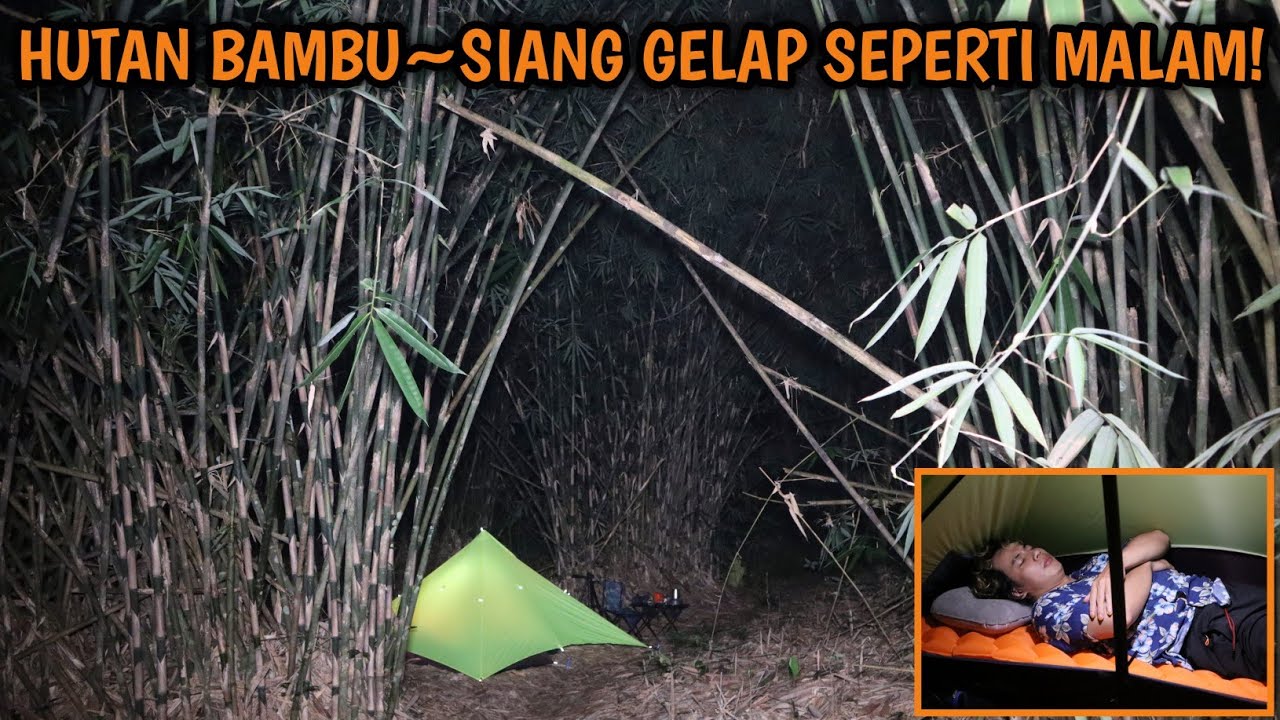 SOLO CAMPING HOROR~HUTAN BAMBU GELAP GULITA SARANG SETAN~NGUMPET DALAM TENDA~DITEROR.
