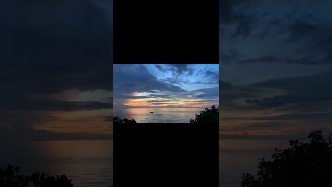 Most popular natural video, Sunset, ocean, waterlily.(Ctv cinx)