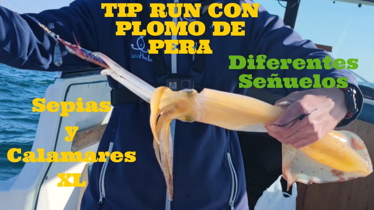Sepias y Calamares XL || Tip Run con plomo de pera || Diferentes Señuelos Todos funcionan #EGING