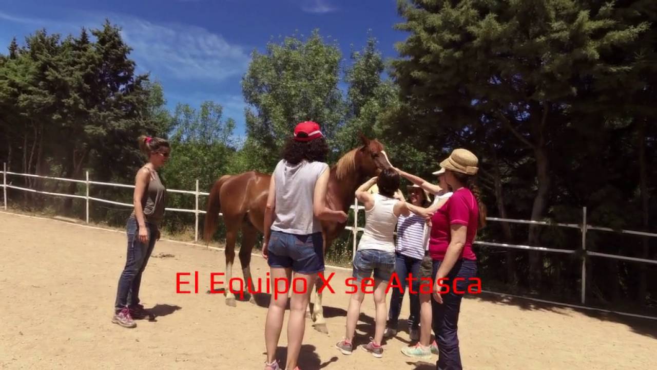 LIDERAZGO Y EQUILIBRIO TALLER COACHING CABALLOS TRABAJO EQUIPO 3 160725
