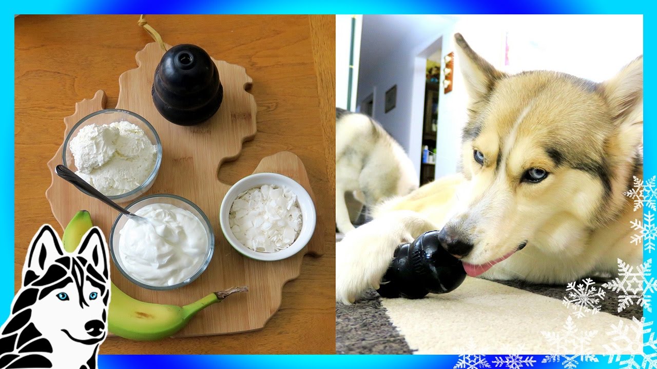 DIY TROPICAL FROZEN KONG | DIY Dog Treats | Snow Dogs Snacks 63
