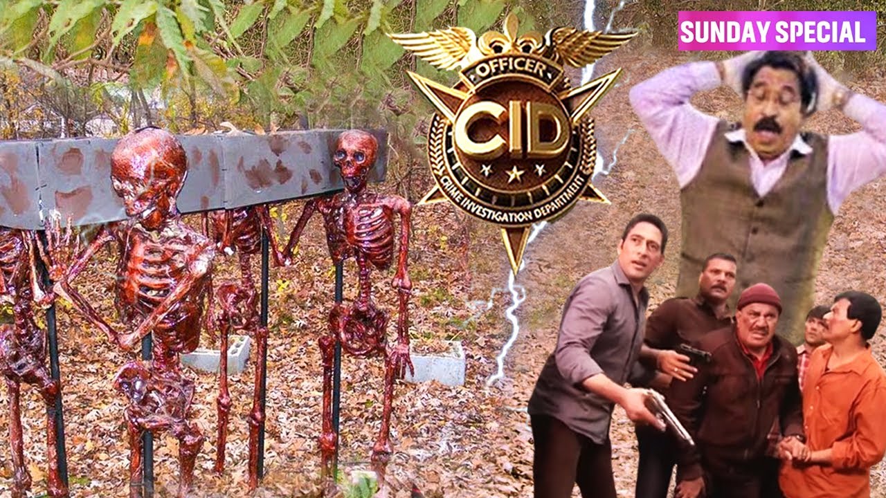 Sunday Special CID 2025 : जब Investigation Team को जंगल में मिले 100 साल पुराने चलते-फिरते कंकाल