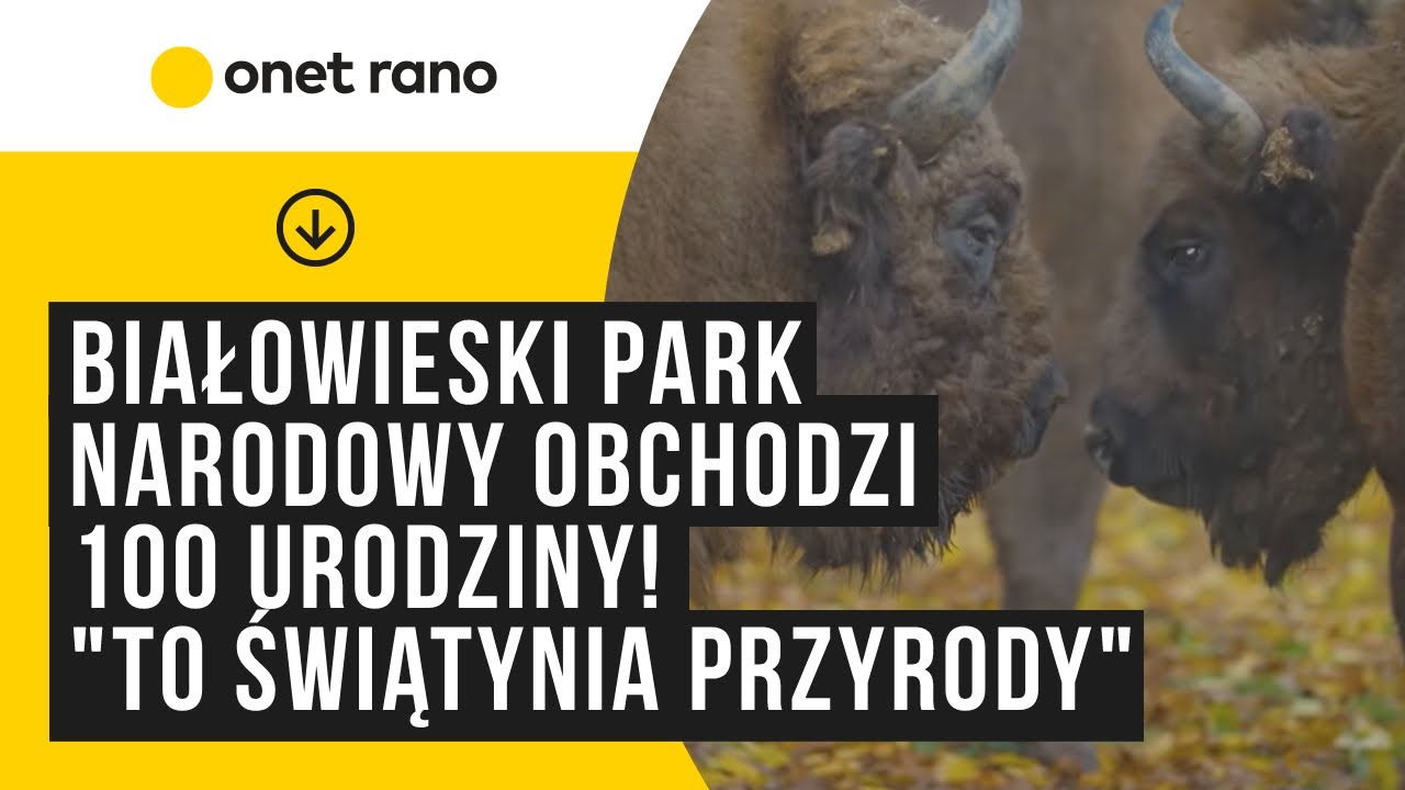Białowieski Park Narodowy obchodzi 100 urodziny. 