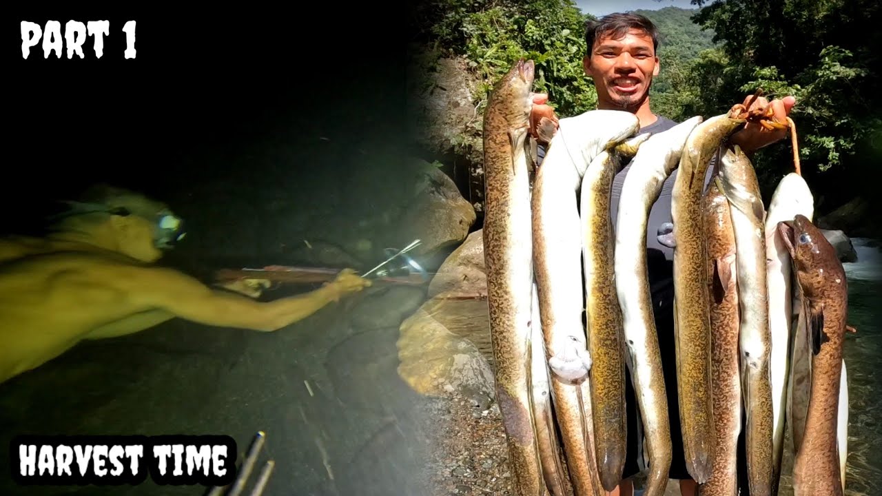 Namangha kami sa aming pagbabalik sa Lugar ng Kasili | Ang Dami nila #ytviralvideo #TGBTG
