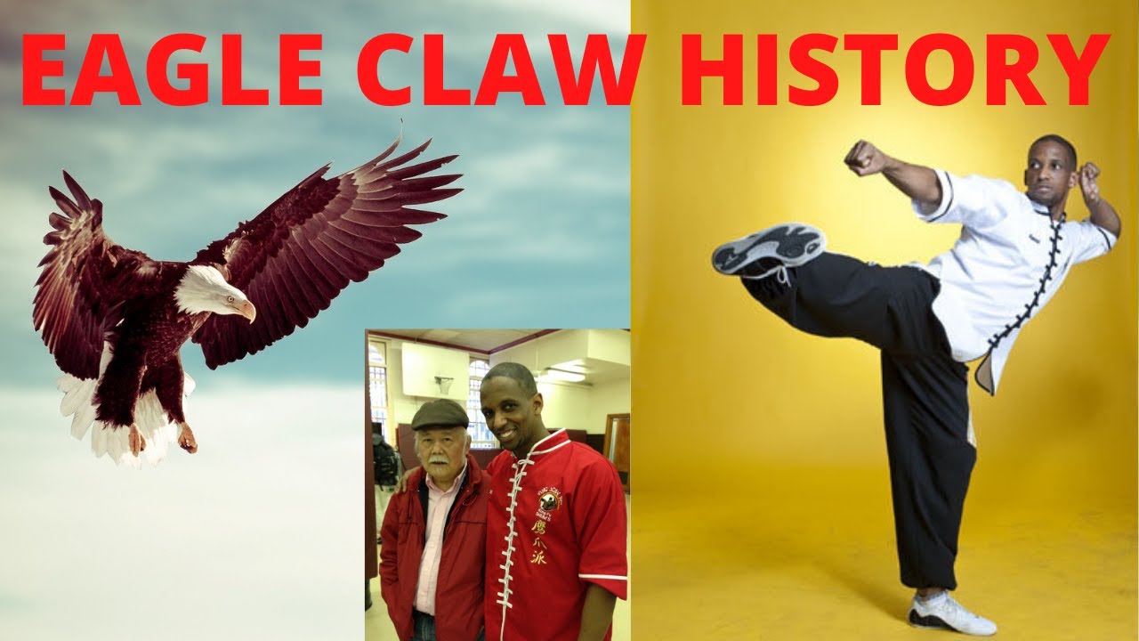 Allow me to reintroduce myself! Ying Jow Pai | Northern Eagle Claw history & my history.