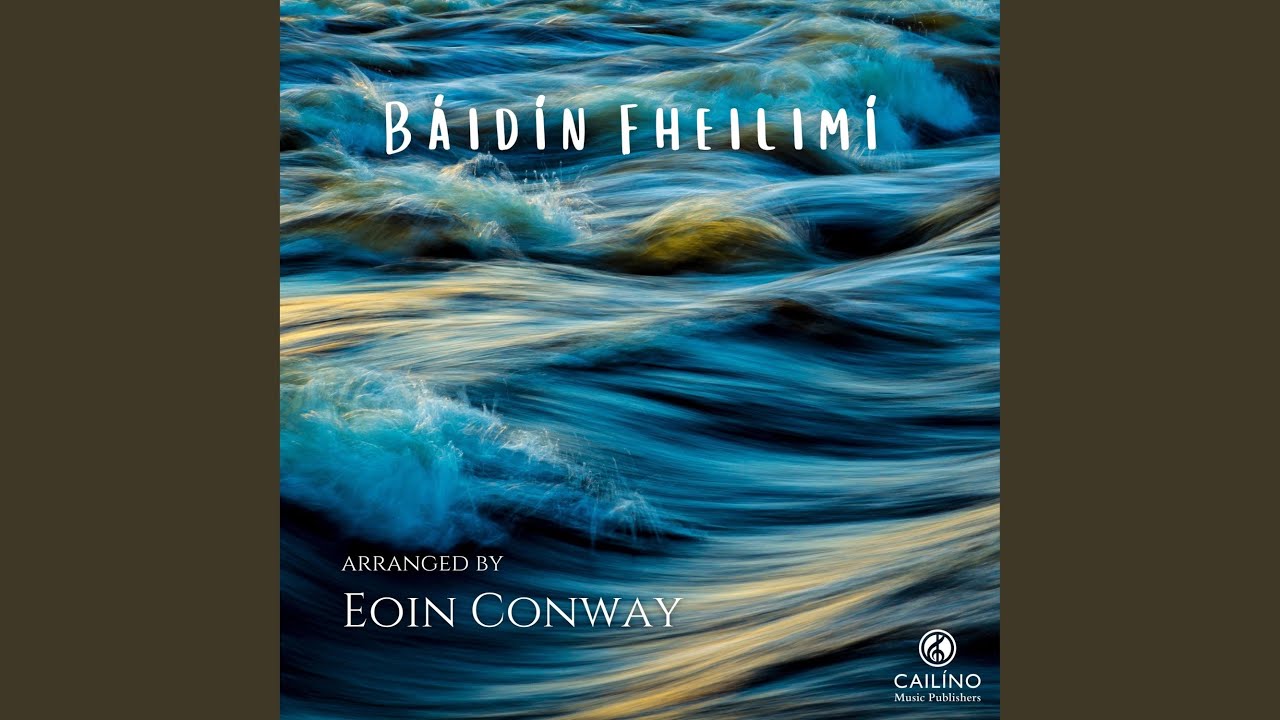 Báidín Fheilimí