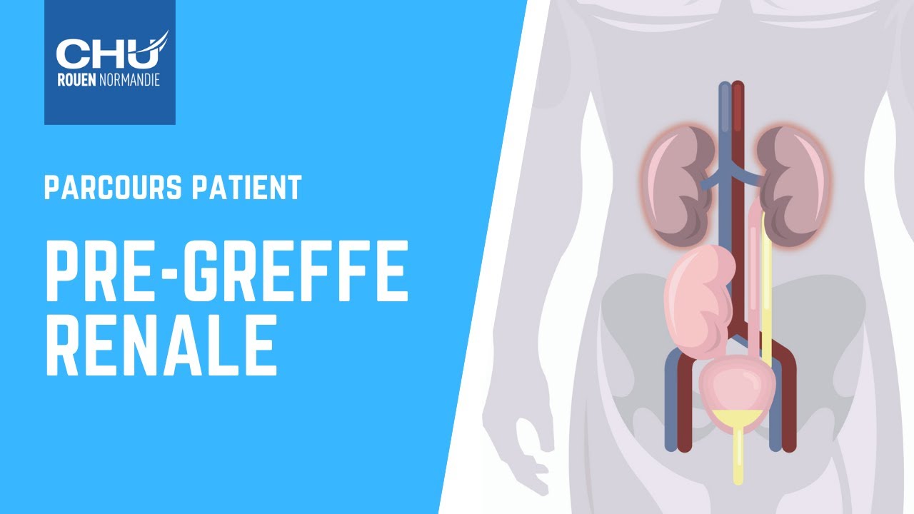 Le parcours de pré-greffe rénale