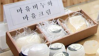 말기름ㆍ말뼈로 화장품 개발&hellip;피부노화 억제 효과 [제주]