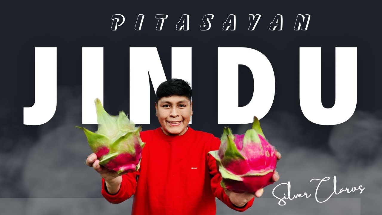 Adquisición y propagación de la PITAHAYA JINDU en PERÚ
