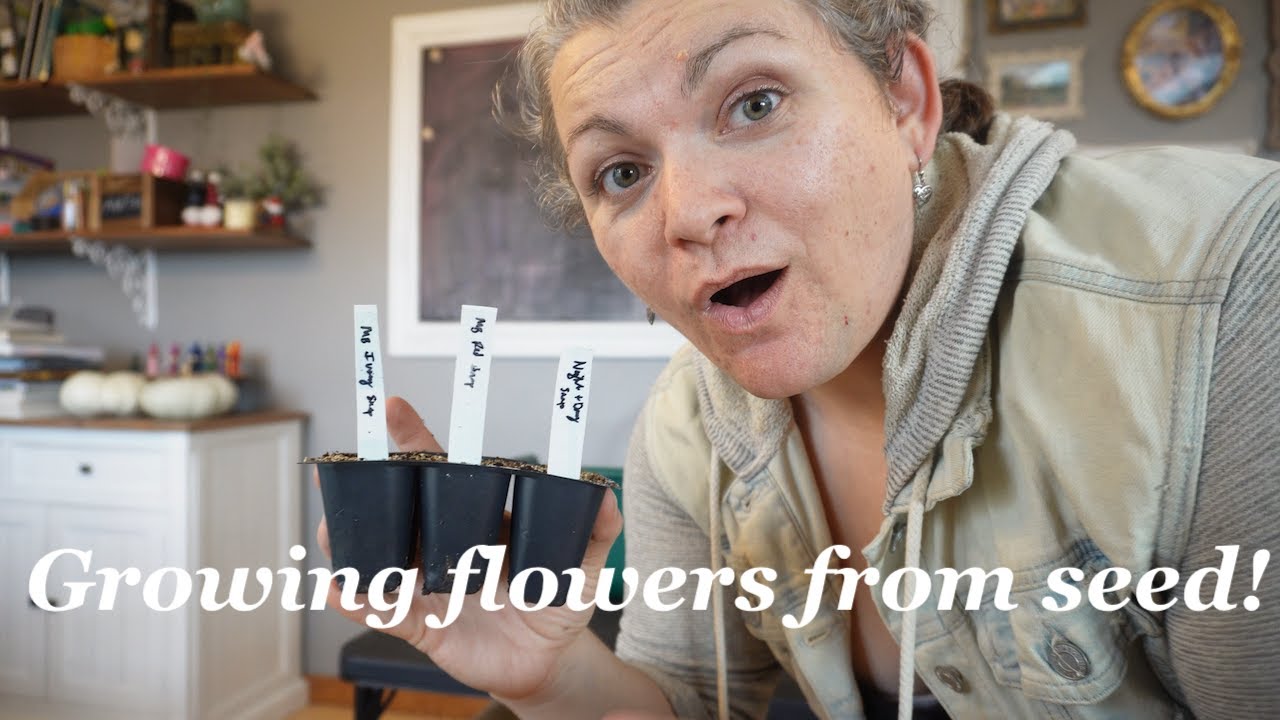 What are hardy annual flowers?  Sowing hardy annuals in Zone 5