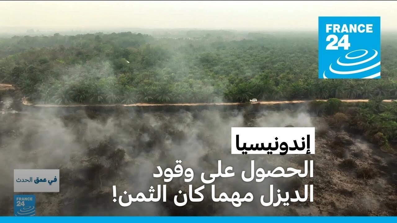 كارثة بيئية في إندونيسيا.. إزالة الغابات للحصول على وقود الديزل الحيوي!