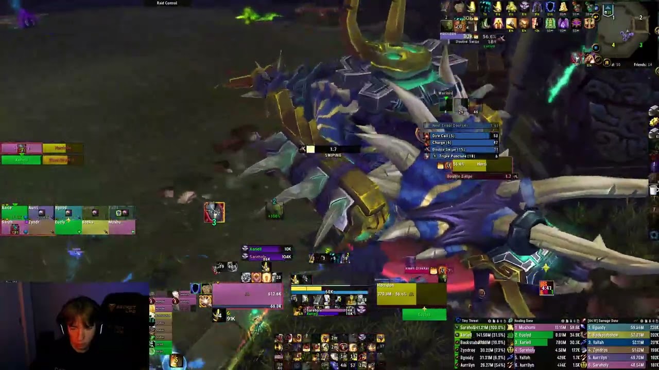 Protection Paladin Heroic Horridon  10 Man