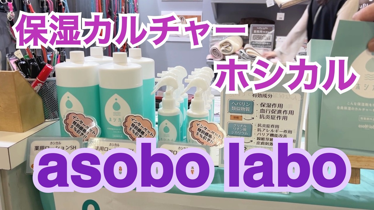#206  asobo labo 保湿カルチャー ホシカル　@interpets2025