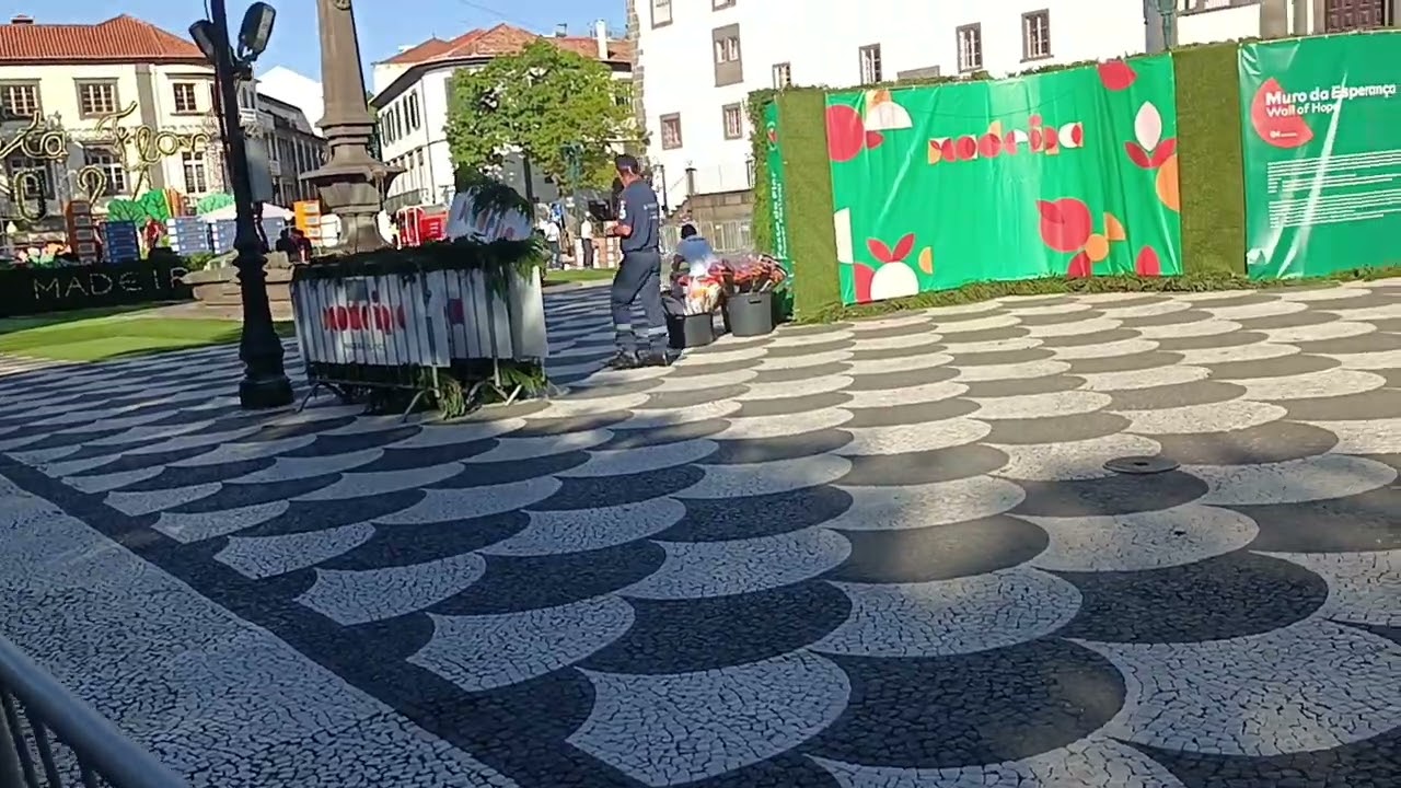 FESTA da FLOR   na  MADEIRA   2024    Muro da Esperan&ccedil;a  TEL 1