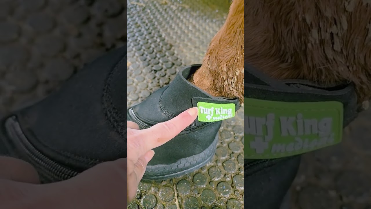 Des hipposandales pas chères pour des soins de pieds 