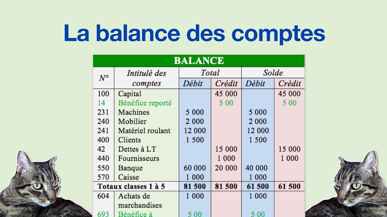 ✅ La balance des comptes en comptabilit&eacute; g&eacute;n&eacute;rale (cours n&deg; 25)