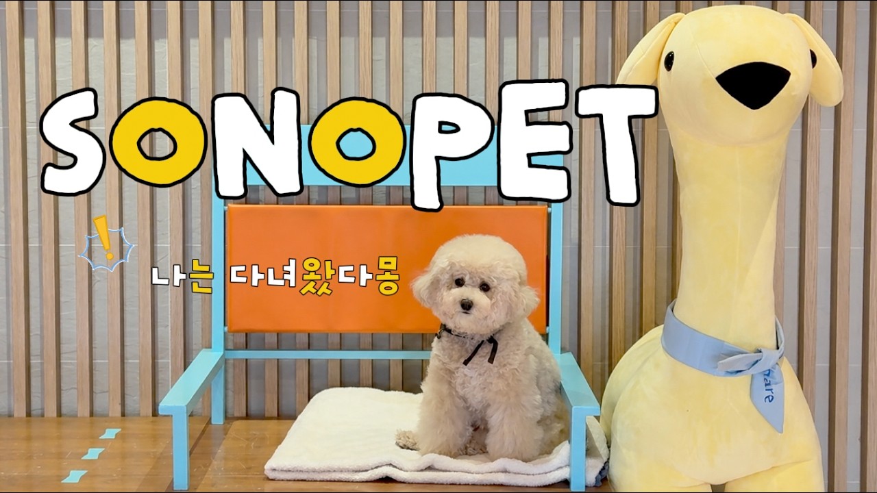 문구름의 꼬리 흔들 여행기 | 소노펫 편