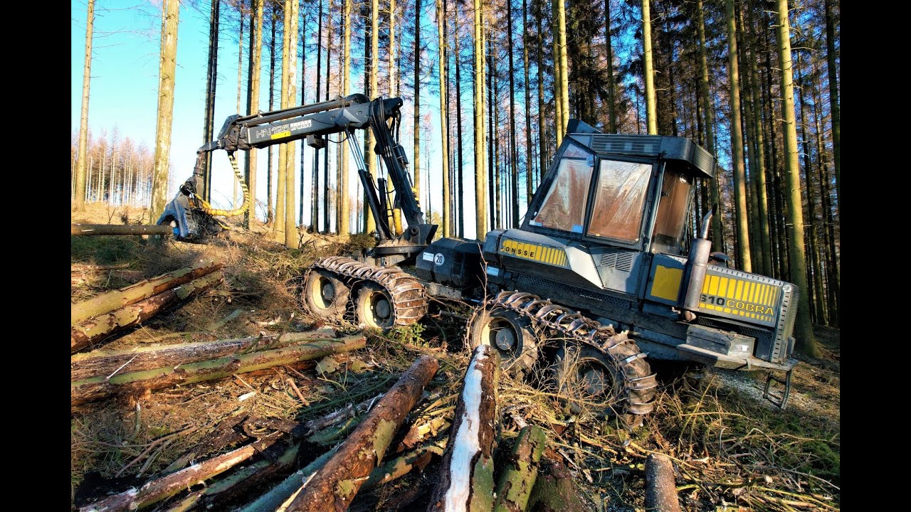 🌲|4K|*The real Classic* • Ponsse Cobra HS10 • SoundOn • Harvester in Action • Forstbetrieb Kukulies🌲