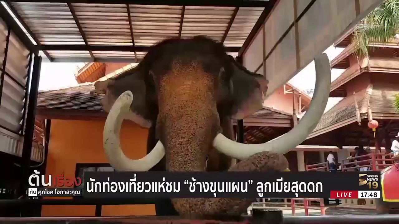 นักท่องเที่ยวแห่ชม 
