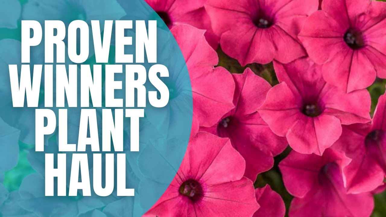Plant Haul || Proven Winners || Planting Spring Flowers ||Spring Planting
