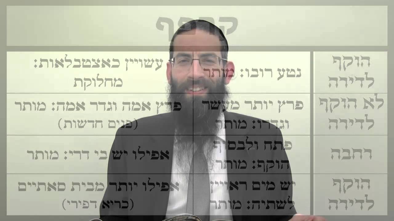 Daf Yomi -- Eruvin 24 (With charts and diagrams)